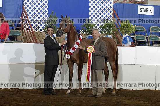 Proof 10r12_1492