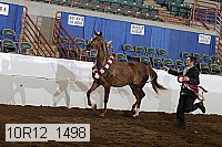 10r12_1498 proof