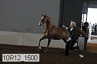10r12_1500 proof