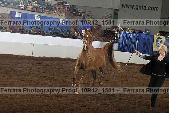 Proof 10r12_1501