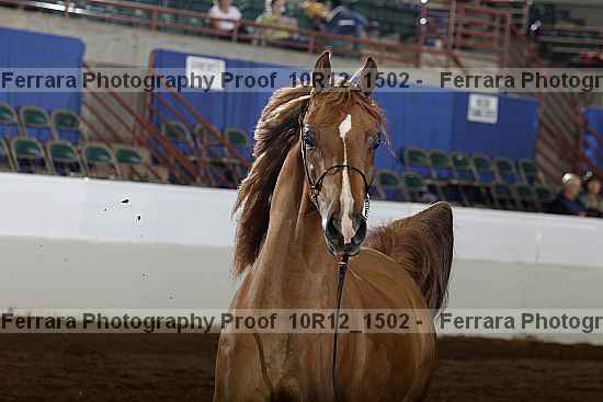 Proof 10r12_1502