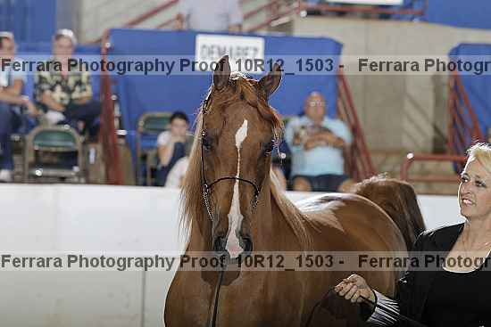 Proof 10r12_1503