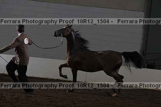 Proof 10r12_1504