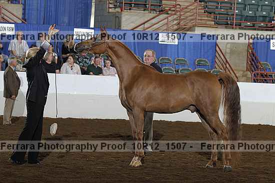 Proof 10r12_1507