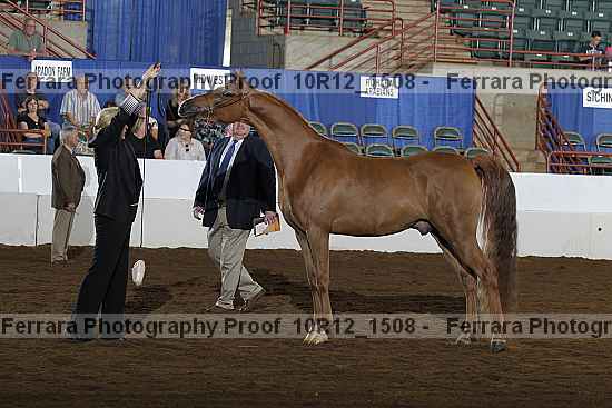 Proof 10r12_1508