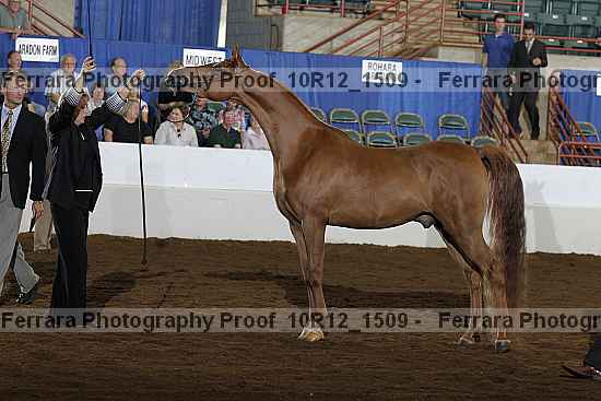 Proof 10r12_1509