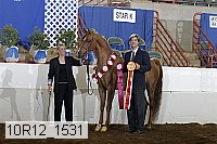 10r12_1531 proof