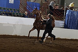 10r12_1541 proof