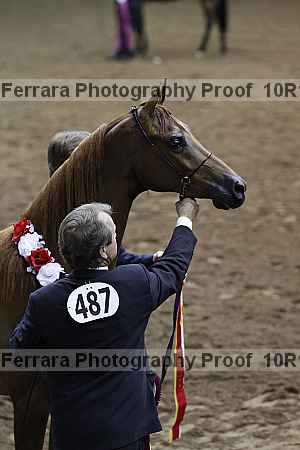 Proof 10r12_1588