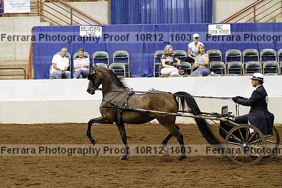 Proof 10r12_1603