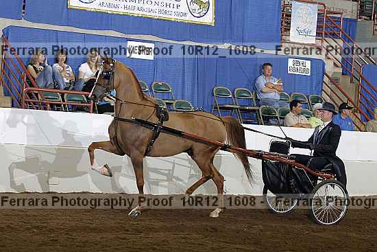Proof 10r12_1608