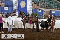 10r12_1628 proof
