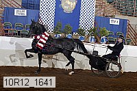 10r12_1641 proof