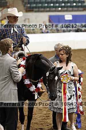 Proof 10r12_6485
