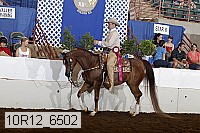 10r12_6502 proof