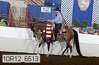 10r12_6513 proof