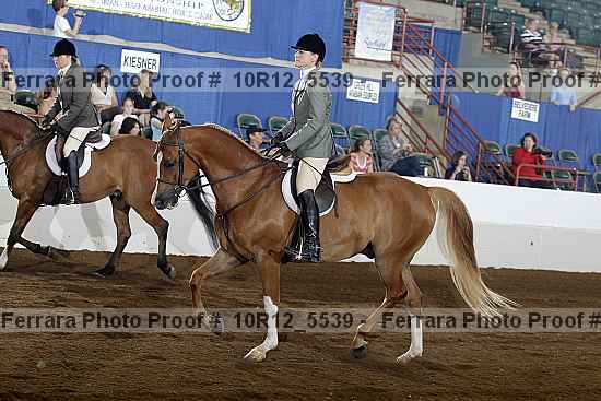 Proof 10r12_5539