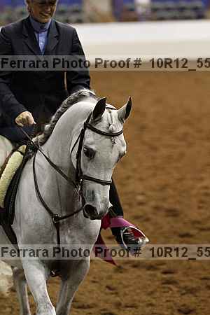 Proof 10r12_5575