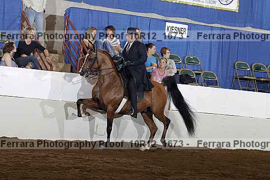Proof 10r12_1673