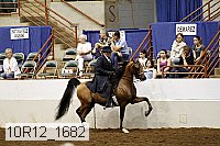 10r12_1682 proof