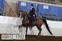 10r12_1702 proof