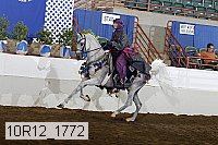 10r12_1772 proof
