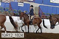 10r12_1824 proof