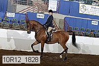 10r12_1828 proof