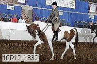 10r12_1832 proof