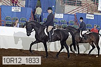 10r12_1833 proof