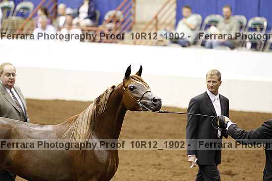 Proof 10r12_1902