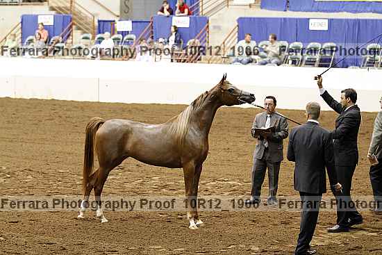 Proof 10r12_1906