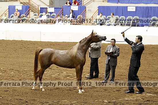 Proof 10r12_1907