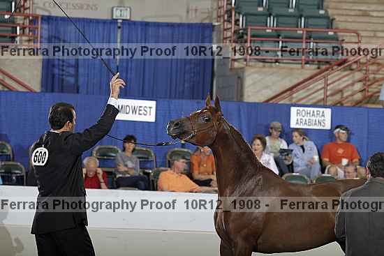 Proof 10r12_1908