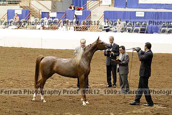 Proof 10r12_1909