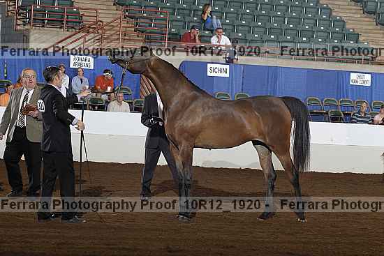 Proof 10r12_1920