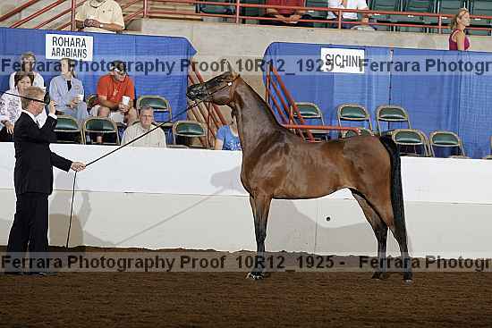 Proof 10r12_1925