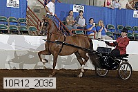 10r12_2035 proof