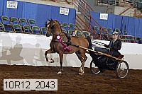 10r12_2043 proof