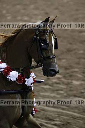 Proof 10r12_2061