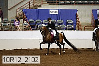 10r12_2102 proof