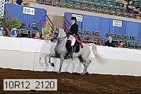 10r12_2120 proof