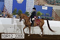 10r12_2200 proof