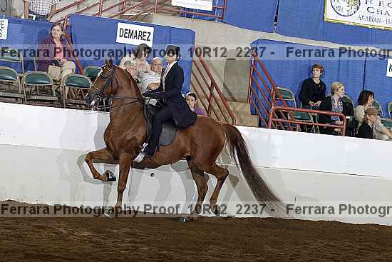 Proof 10r12_2237