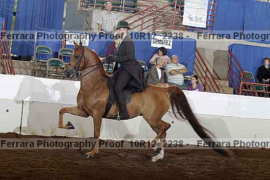 Proof 10r12_2238