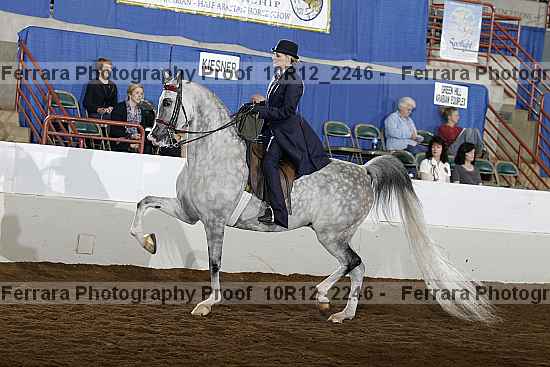 Proof 10r12_2246