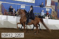 10r12_2251 proof