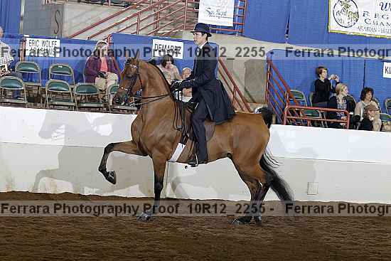 Proof 10r12_2255