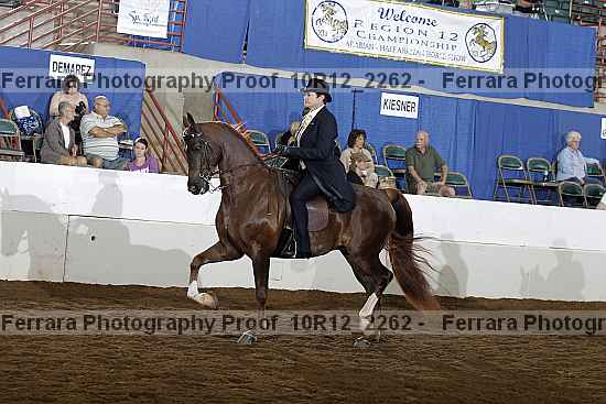 Proof 10r12_2262