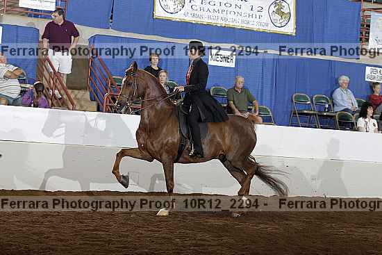 Proof 10r12_2294